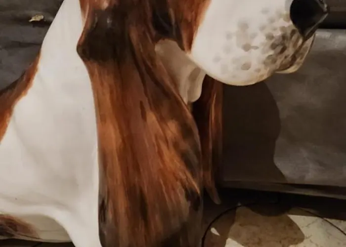 Apartament Molo Genua