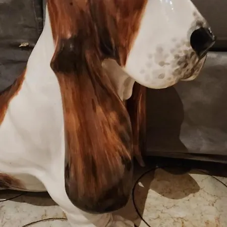 公寓 Molo 热那亚